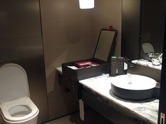 -新加坡瑞士史丹福酒店