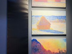 -印象莫奈时光映迹艺术展