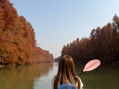 -上海海湾国家森林公园