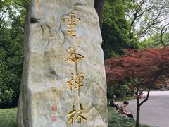 -灵谷景区