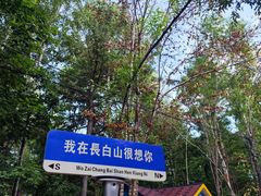 -长白山聚龙火山温泉