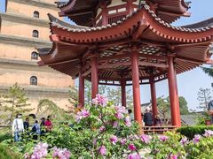 -大慈恩寺(大雁塔)