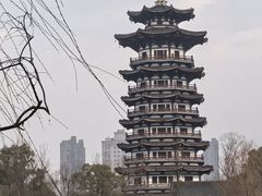 -洋湖国家湿地公园
