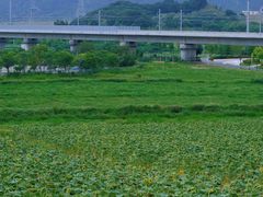 -光明小镇欢乐田园