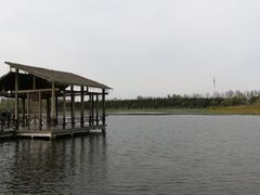 -溱湖国家湿地公园