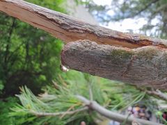 -华山风景名胜区