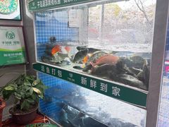 -全乐鱼馆·淳牌有机鱼直营店