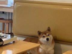 -柴の食堂·日式家庭料理·熊之肆(大学路店)