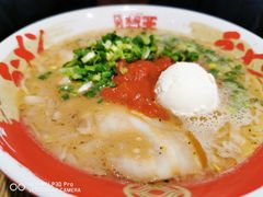 -豚王拉面(铜锣湾店 )