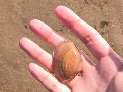 -北戴河东海水浴场