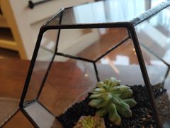 -嘉年华大酒店琴湾-自助餐厅