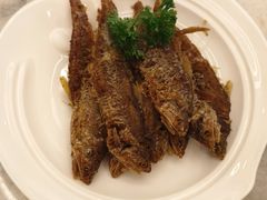 -喜来登由由大酒店九州膳坊中餐厅