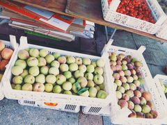 -东海金街农贸商城