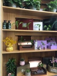 -丝客富脱发养发头皮馆