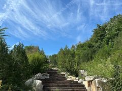 -佛慧山