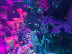 -沈阳海洋探索中心