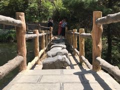 -王顺山国家森林公园
