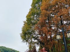 -苏州上方山国家森林公园