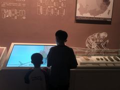 -中国闽台缘博物馆