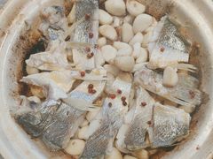 -1937青岛老味道·海肠捞饭·青岛菜(大鲍岛栈桥店)