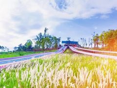 -黄龙溪欢乐田园