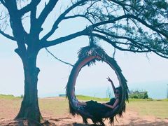 -漳州滨海火山岛自然生态风景区