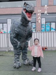 -恐龙探索乐园(磁器口店)