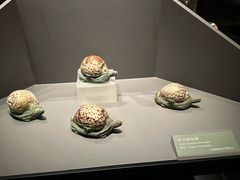 -大同市博物馆