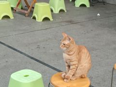 -蔡林记(古田二路店)