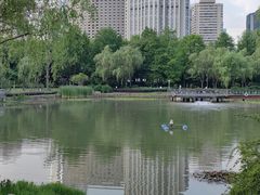 -新虹桥中心花园