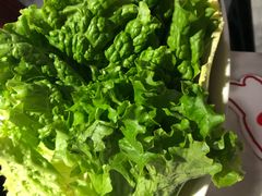 -食潮汕头鲜牛馆(望京保利店)