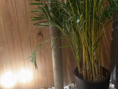 -园里火锅(仁和新城店)