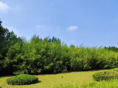 -大望京公园