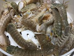 -苏大嘴海鲜牧场(奥林匹克店)