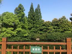 -上海滨江森林公园