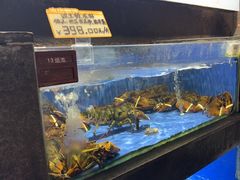 -徐记海鲜(陕西历史博物馆|明德门店)