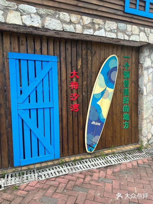 大梅沙海滨公园图片