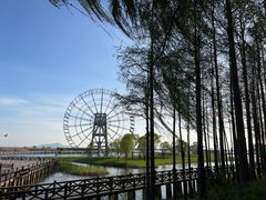-苏州太湖湖滨国家湿地公园