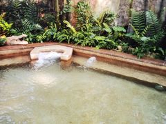 -海口观澜湖火山温泉谷