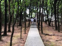 -火炉山森林公园