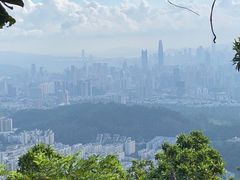 -梧桐山风景名胜区