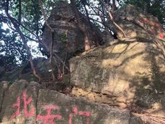 -紫金山山顶公园