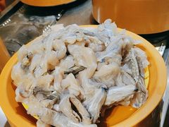 -龍歌自助小火锅(崂山丽达店)