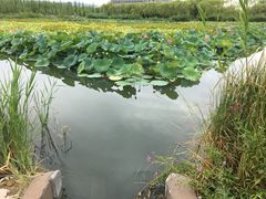 -香山公园