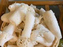 竹荪-菌海森林·非遗野生菌火锅(西山区滇池路摩根道店)