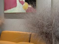 -intime coffee(芝麻街店)