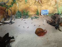 -北海海底世界