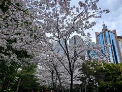 -陆家嘴中心绿地