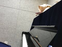教室环境-小先生琴行(科园路店)