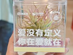 -海底捞火锅(龙湖北京大兴天街店)